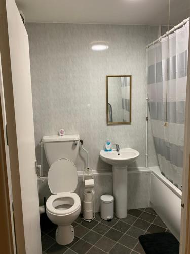 a bathroom with a toilet and a sink at 39 Abbey Court Coventry in Whitley