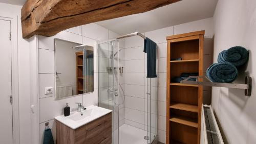 a bathroom with a sink and a shower at Landgoed Kasteel Terborgh in Schinnen