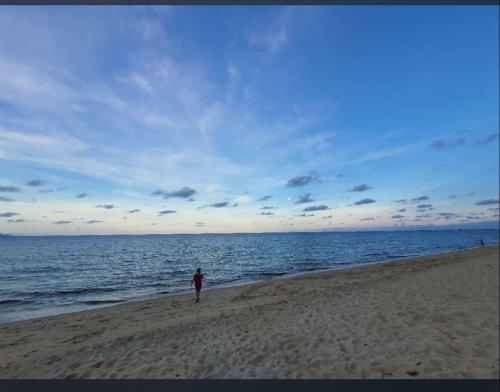 a person standing on a beach near the ocean at Paka Tamim Seaview Hotel in Paka