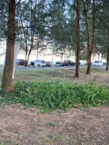 a group of trees in a park with cars parked at Paka Tamim Seaview Hotel in Paka
