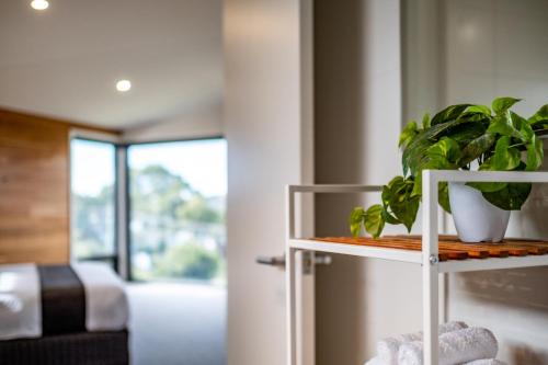 a plant on a white shelf in a bedroom at At The Bay in Coles Bay