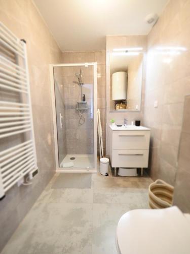 une salle de bain avec douche et lavabo dans l'établissement LE ROYAL - Parc des Sources - Haussmannien - Proche Thermes, à Vichy