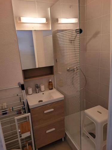 une salle de bain avec une douche, un lavabo et des toilettes dans l'établissement Au cœur de la station, au pied des pistes, parking, à Bagnères-de-Bigorre