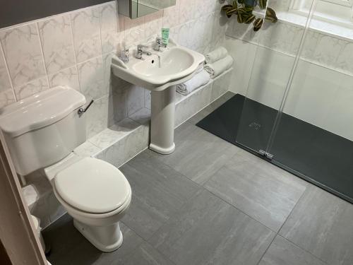 a bathroom with a toilet and a sink and a shower at Park View in Chester