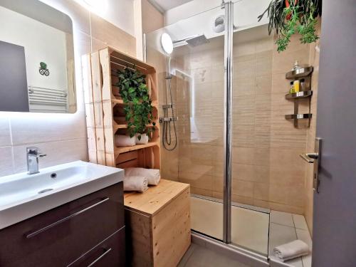 La salle de bains est pourvue d'une douche et d'un lavabo. dans l'établissement LE DUPLEX - Hyper centre - Gare - Wifi - Netflix - Disney +, à Annecy