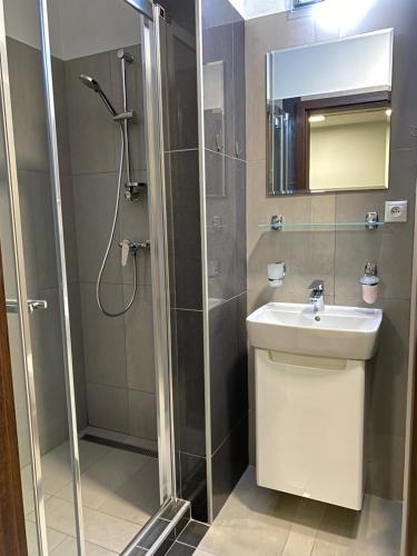 ein Bad mit einem Waschbecken und einer Dusche in der Unterkunft Apartmá Diamond in Podhájska