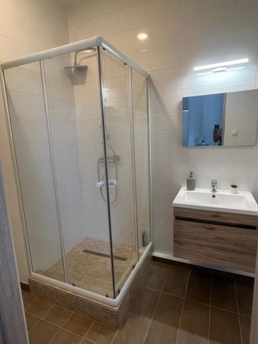 ein Bad mit einer Dusche und einem Waschbecken in der Unterkunft Villa Balifornia in Balatonboglár