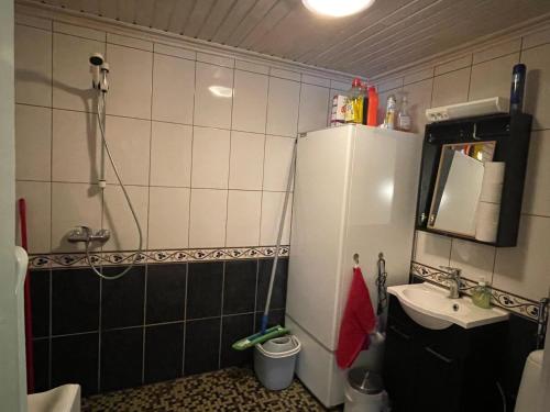 a small bathroom with a sink and a refrigerator at Villa Mushroom in Vuoriniemi