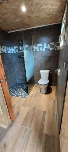 un bagno con wc e doccia di Maison Le Bois Joli Coeur a Saint-Benoît
