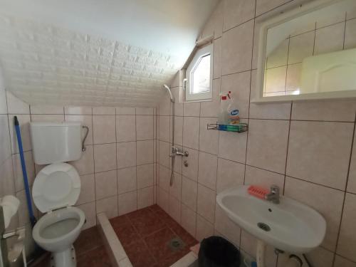 uma casa de banho com um WC e um lavatório em Privatni Smeštaj Tešević em Zlatibor