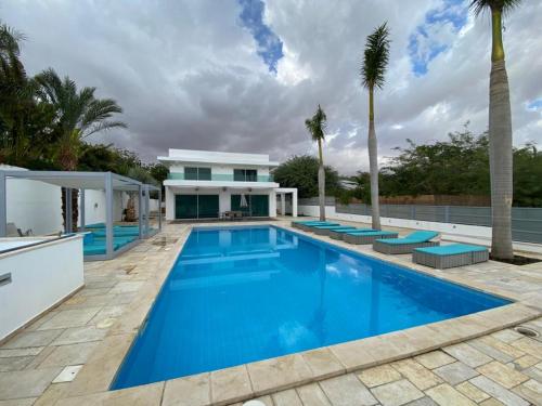 zait Eilat dream