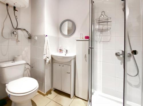 La salle de bains est pourvue de toilettes, d'un lavabo et d'une douche. dans l'établissement Apartament Alpejski Mały, à Lądek-Zdrój