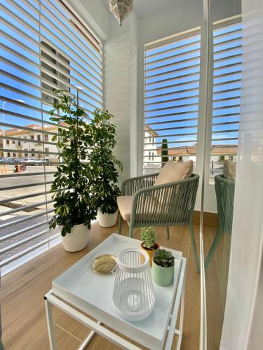 LOFT DELUXE ALMA GARDEN