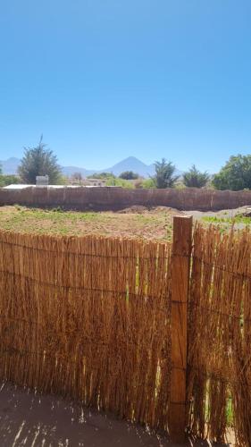 a fence with tall grass on top of a field at Lodge Altitud in San Pedro de Atacama