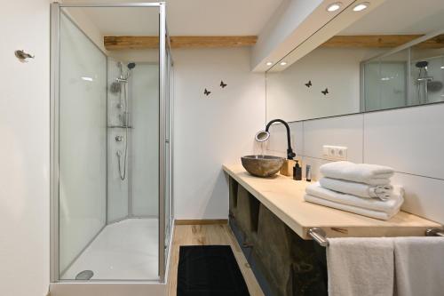 La salle de bains est pourvue d'une douche, d'une coiffeuse et d'une cabine de douche en verre. dans l'établissement Im traditionellen Bauernhaus, à Nesselwang