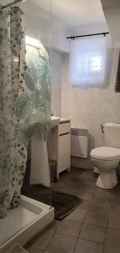 La salle de bains est pourvue d'une douche et de toilettes. dans l'établissement Charmant appartement centre-ville 70m2, à Digne-Les-Bains