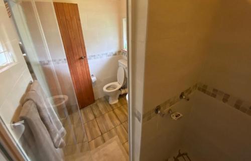 een badkamer met een toilet en een douche met een bad bij Overflow Cottage in Clarens