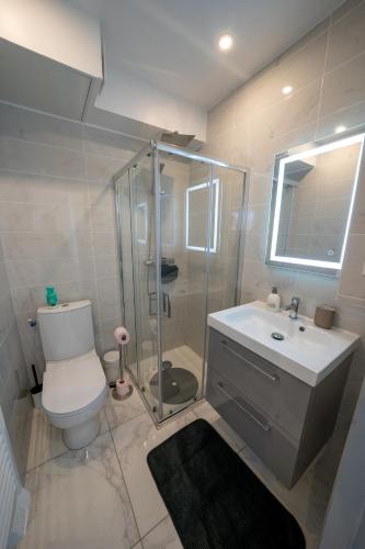 une salle de bain avec une douche, des toilettes et un lavabo dans l'établissement La merveille de Rochebonne 2, à Saint-Malo