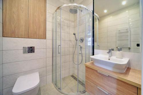 bagno con doccia e lavandino di Dolina Wikingów 2-poziomowy apartament w Norweskiej Dolinie a Szklarska Poręba