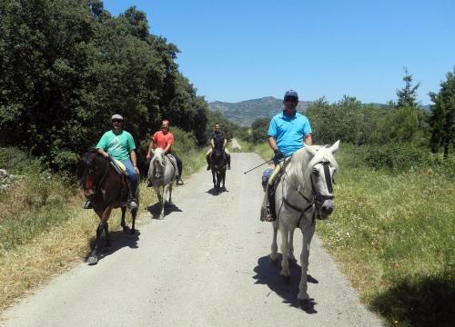 Horseback riding in the country house o sa malapit