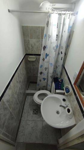 een kleine badkamer met een wastafel en een toilet bij MONOAMBIENTE YERBA BUENA in Yerba Buena