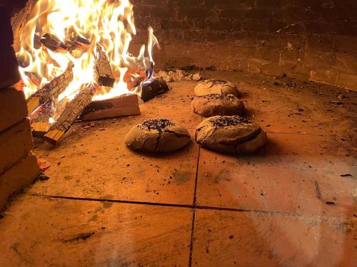 a brick oven with a fire in it at Josanica Bed&Breakfast in Konjic