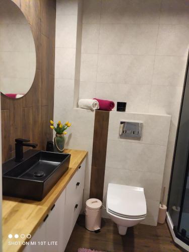 Et badeværelse på Mieszkanie nad jeziorem Olsztyn