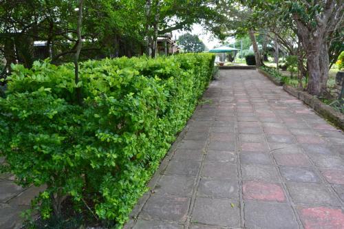 a hedge along a sidewalk with a walkway at The Farmers Lodge in Thorndale