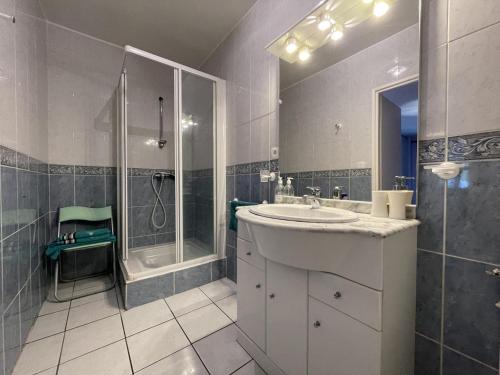 Saint-Jean-le-VieuxにあるMaison Zubiatia - 3km Compostelleの白いバスルーム(シャワー、シンク付)