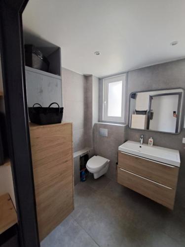 een badkamer met een toilet, een wastafel en een spiegel bij Superbe Rez-de-Jardin refait à neuf. in Breil-sur-Roya