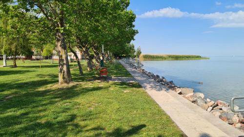 a park with trees next to a body of water at HÉDER APARTMANOK in Balatonfenyves