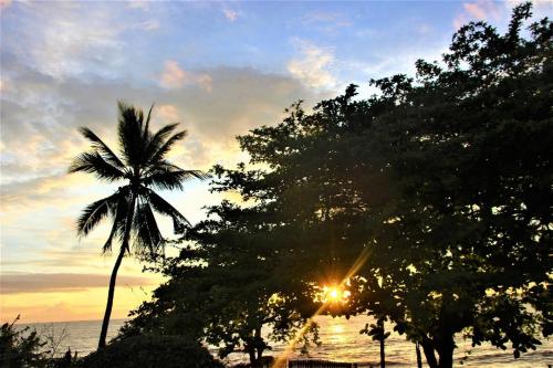 a palm tree and the sun shining through the trees at OCEAN-SI Mansion in Kribi