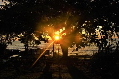 a sun shining through a tree in front of the water at OCEAN-SI Mansion in Kribi