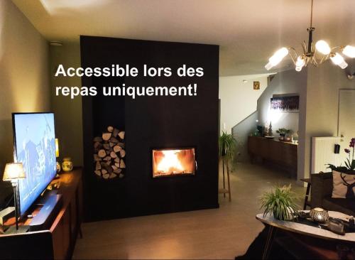 a living room with a fireplace and a tv at Fredhousedurbuy 2 in Durbuy