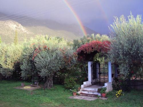Un jardín fuera de Nafpaktos cottage by the sea for travelers and dreamers!