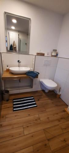 La salle de bains est pourvue d'un lavabo, de toilettes et d'un miroir. dans l'établissement Apartment Festung zu Ketghe - Nähe Koblenz, à Kettig