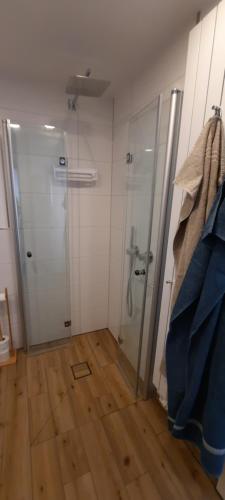La salle de bains est pourvue d'une douche avec une porte en verre. dans l'établissement Apartment Festung zu Ketghe - Nähe Koblenz, à Kettig