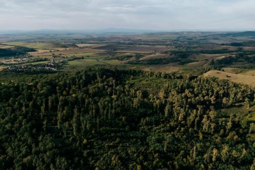 an aerial view of a forest of trees at Vidéki vendégház a Bükkben, pezsgőfürdővel. in Királd