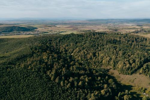 an aerial view of a forest of trees at Vidéki vendégház a Bükkben, pezsgőfürdővel. in Királd