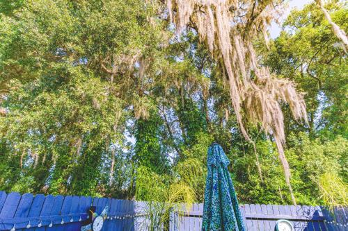 a tree with vines hanging over a fence at The Estate at Mt Dora in Mount Dora
