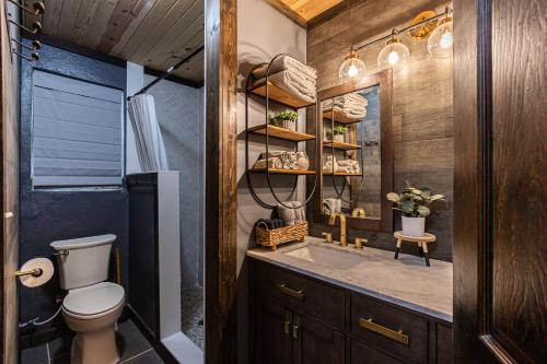 a bathroom with a toilet and a sink and a mirror at Fun cabin with hot tub, pool table & fire pit - BIG BLUE in Bryson City