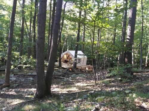Tentrr - Mountain Hideaway – Photos 3