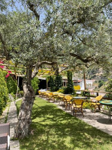 a group of tables and chairs under a tree at Fico D'India Relais in Furore