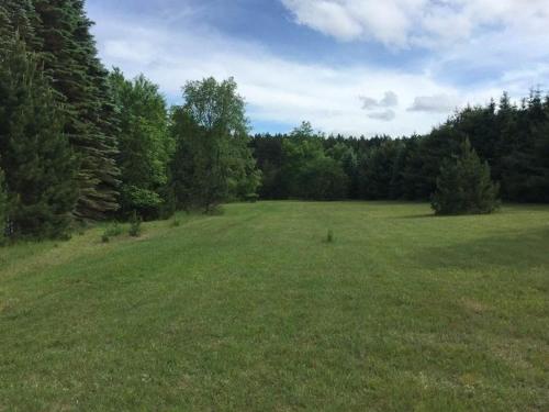 Tentrr Signature - Pine Meadows – Photos 4