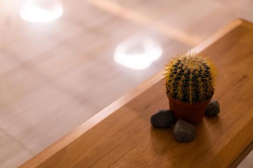a cactus sitting on top of a wooden table at Kouros Blanc Resort & Suites in Pounda
