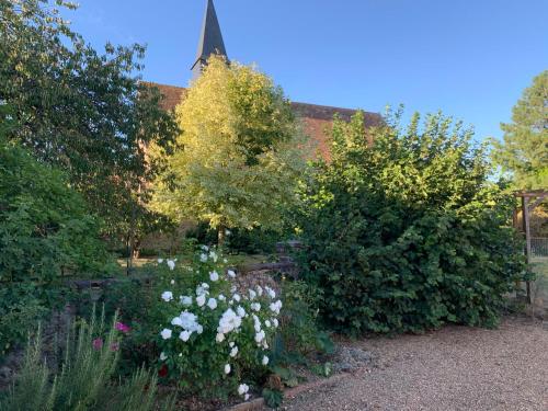 a garden with white flowers and trees and a building at Gîte de L'Oliviade - Campagne & Confort in Billancelles