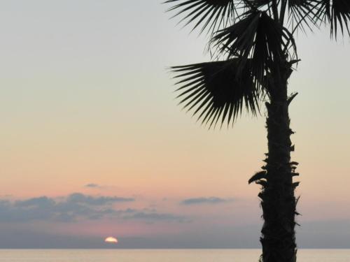 a palm tree with the sunset in the background at Hotel Il Mulino in Capo dʼOrlando