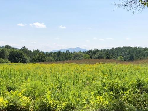 Tentrr - Ascutney View – Photos 4