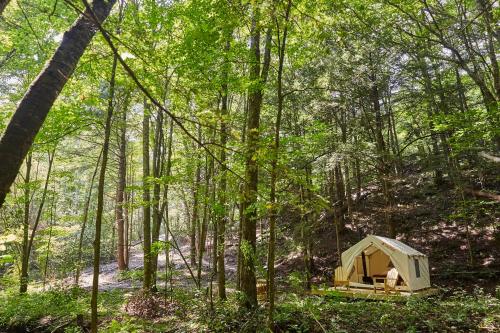 Tentrr - Huntley Hollow Brook – Photos 2