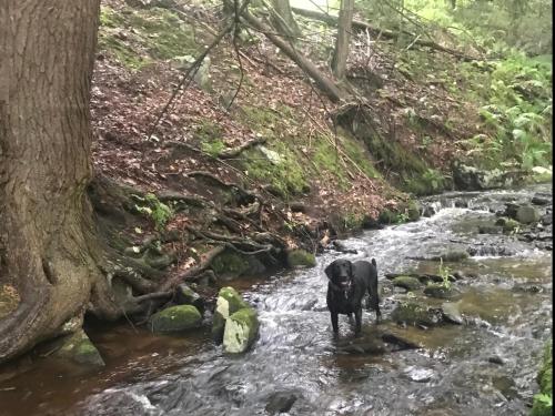 Tentrr - Hidden Creek – Photos 4